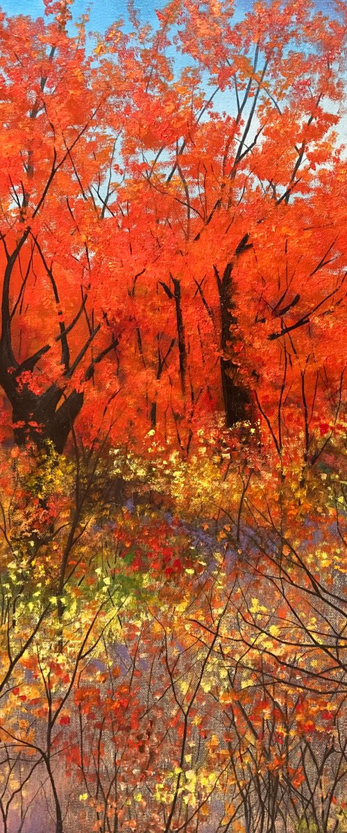 Allegro by Faith Patterson