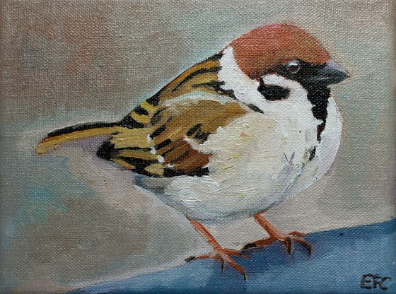 Fluffy Sparrow