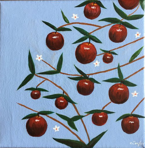 Apples by Amelia Taylor