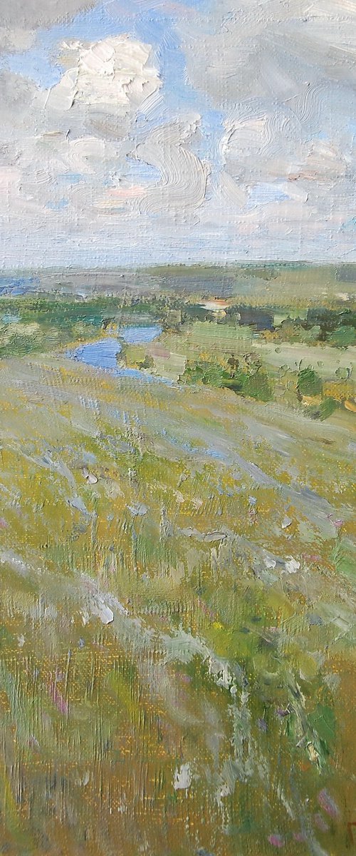 Windy day by Denys Gorodnychyi