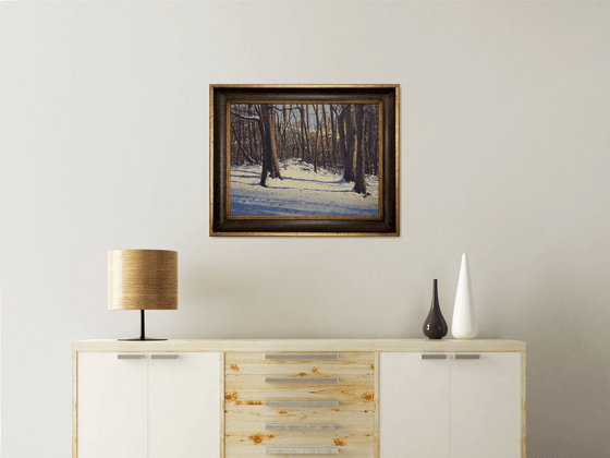 Winter Stillness: Snow and Shadow