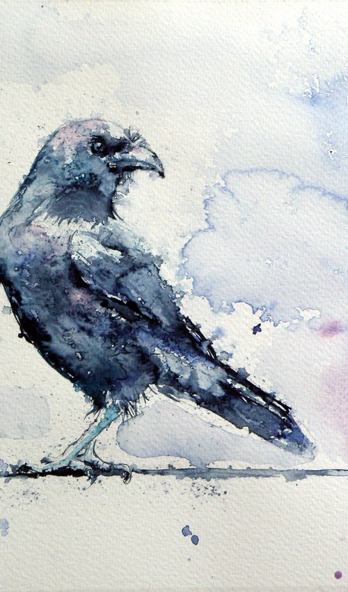 Crow by Kovács Anna Brigitta