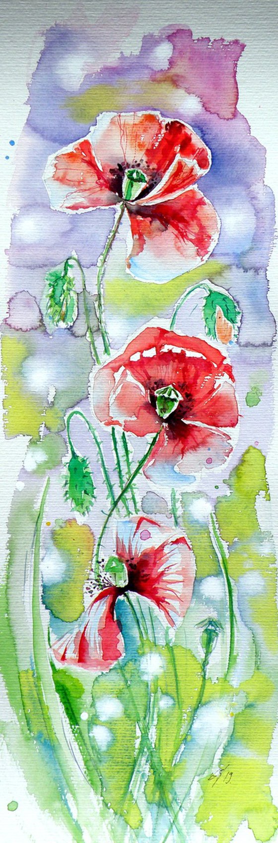Poppies of summer VI