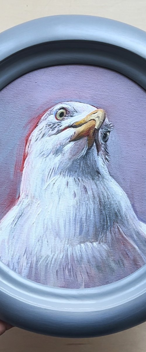 Portrait of a seagull. by Natalia Veyner