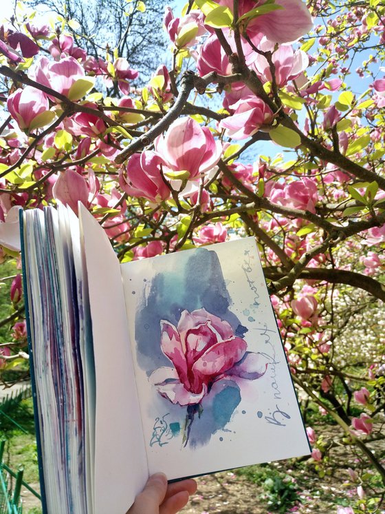 Watercolor sketch "Pink Magnolia" -  series "Artist's Diary"