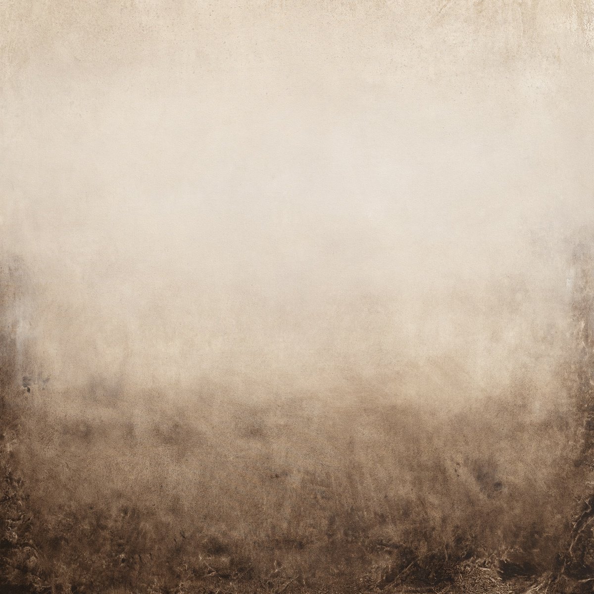 Organic Abstract Acrylic Painting By Don Bishop, 40 X 40, Beige Field 241104, Original Artwork