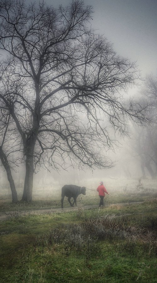 Morning fog by Vlad Durniev