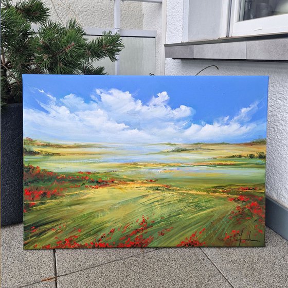 Where The Poppies Dance