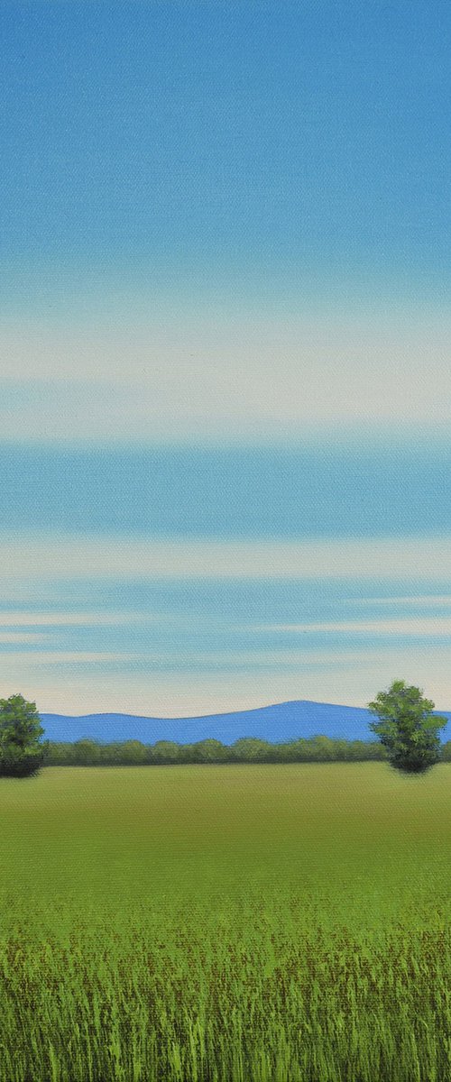 Summer Grasses - Blue Sky Landscape by Suzanne Vaughan