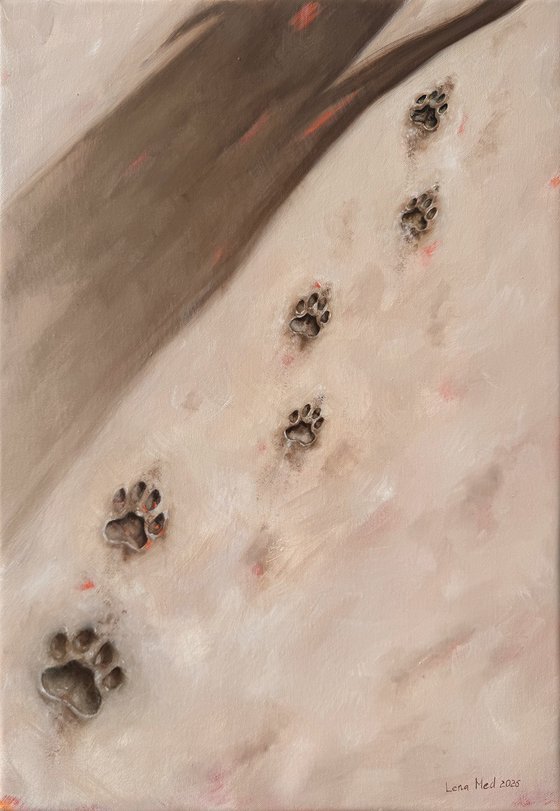 Where You Walked