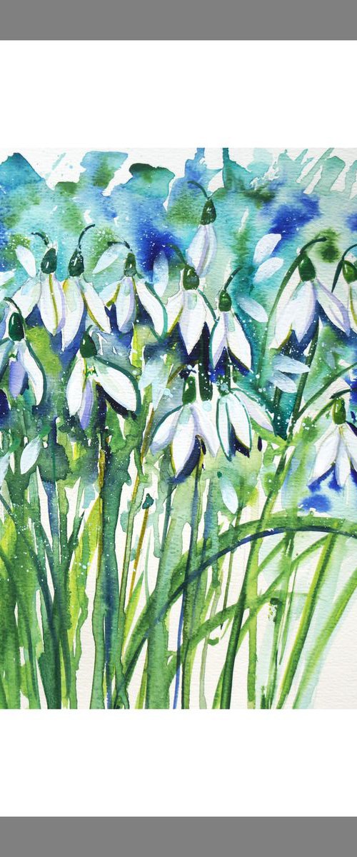 Snowdrop Clump by Julia  Rigby