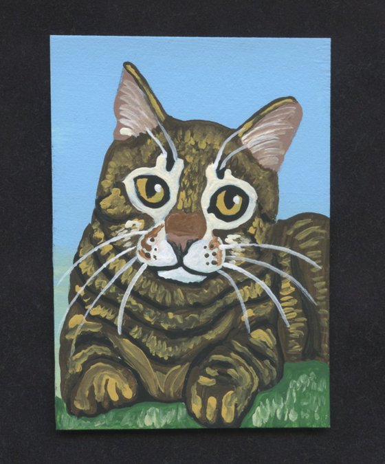 ACEO ATC Original Miniature Painting Brown Tabby Cat Pet Feline Art-Carla Smale