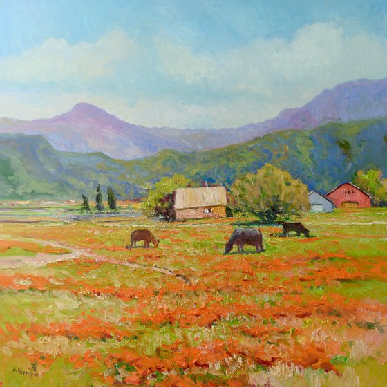 Farms in California