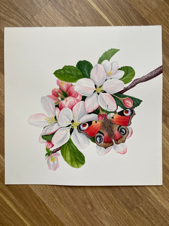 Apple blossom