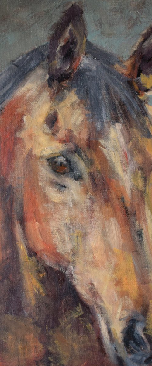 Horse by SBBoursot