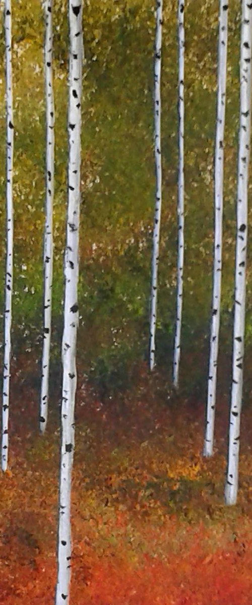 Autumnal Silver Birch Trees by Jan Rippingham