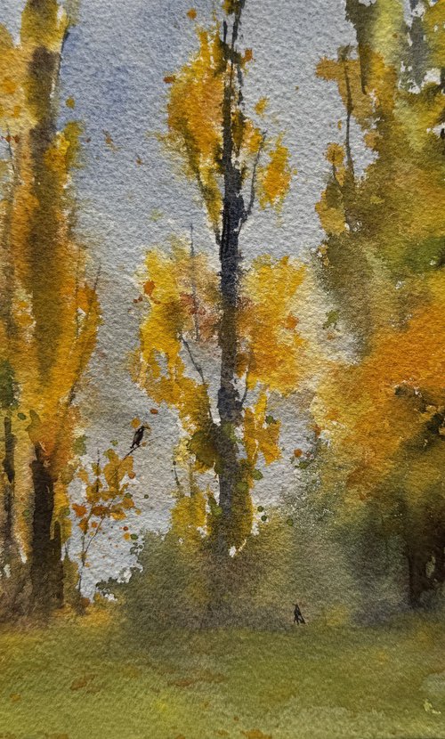Canberra autumn by Shelly Du