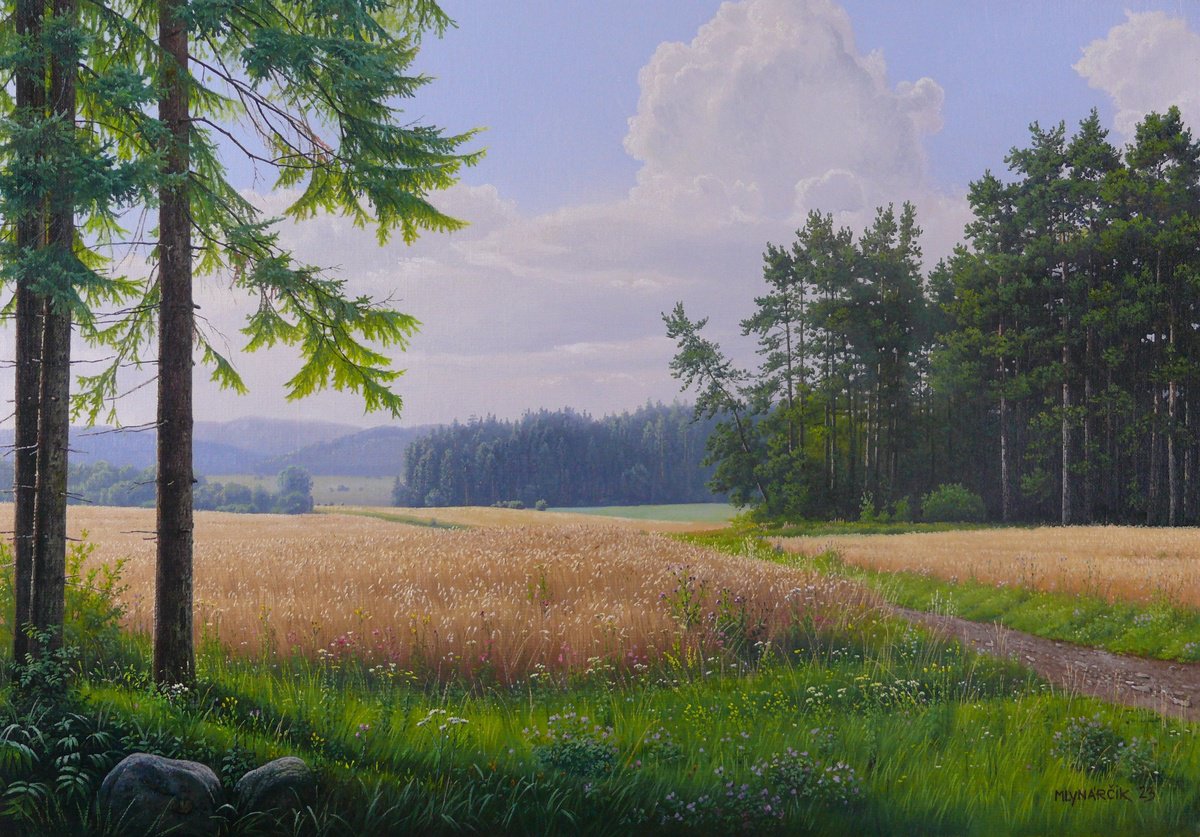Photorealistic Landscape Oil Painting By Mlynarcik Emil, 20 X 14", Ripening Mountain Fields, Original Artwork