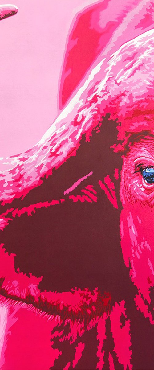 Pink Buffalo by Sabrina Rupprecht