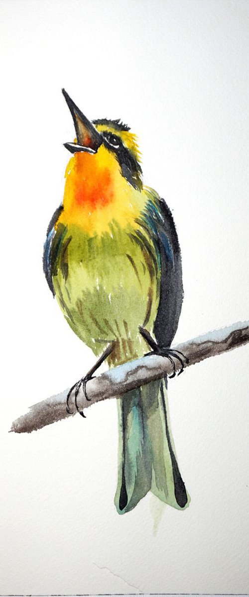 Blackburnian warbler by Olga Tchefranov (Shefranov)