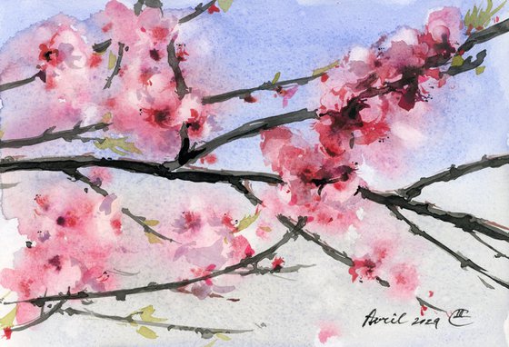 Sakura branch