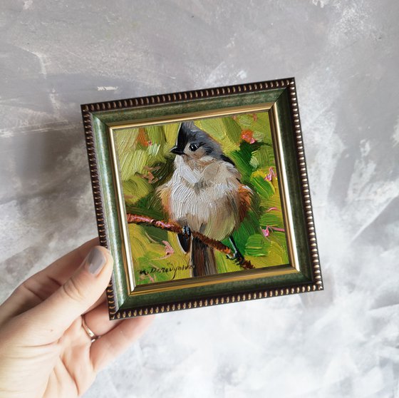 Tufted tit