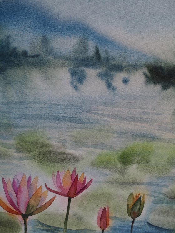 Misty lotus pond