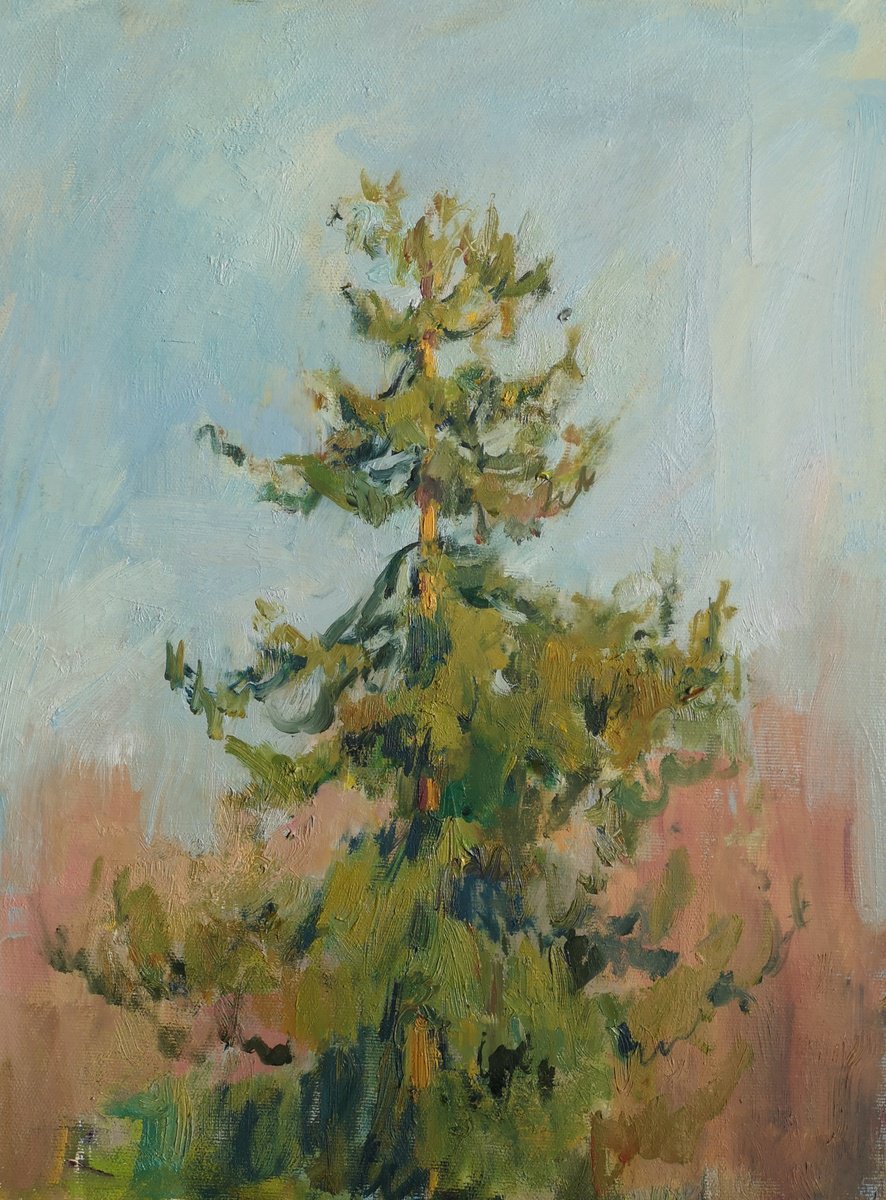 Impressionistic Landscape Oil Painting By Olga Samar, 12 X 16", Spring Feeling, Original Artwork