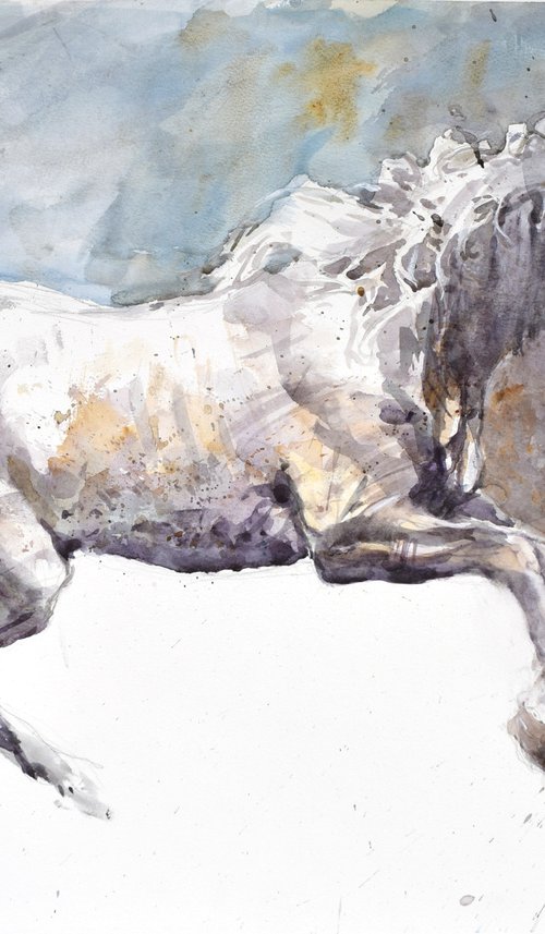 Running horse (70x50) by Goran Žigolić Watercolors