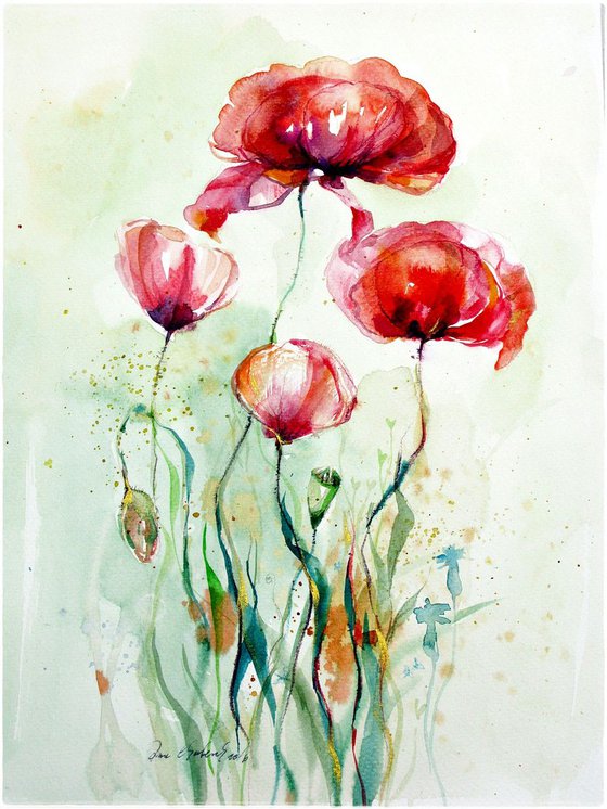 red poppies