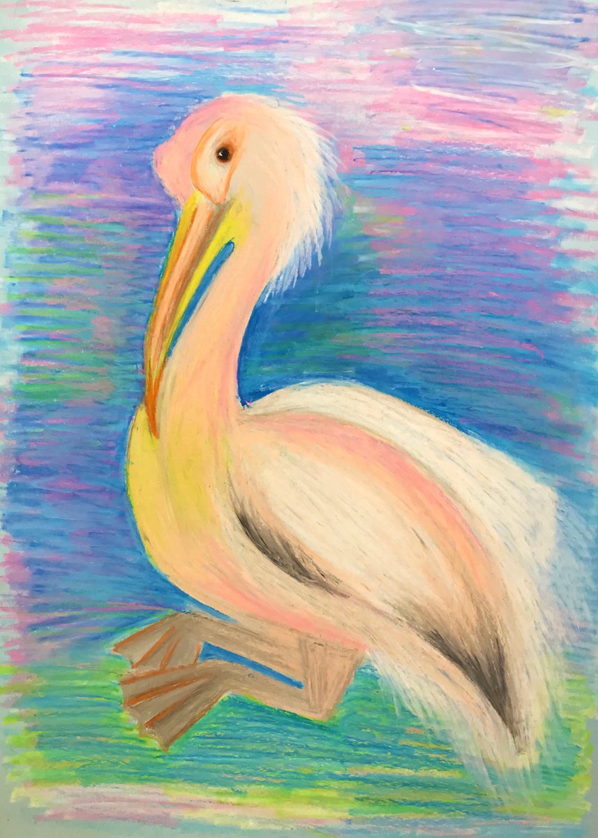 Pelican by Anastasia Terskih