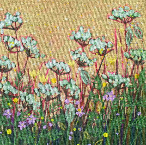 Garden with Queen Anne's Lace