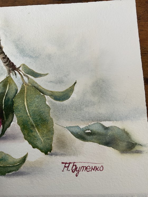 Branch of Red Plums