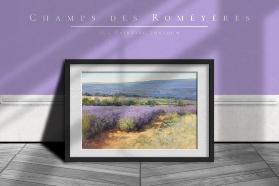 Lavender fields at Les Roméyères