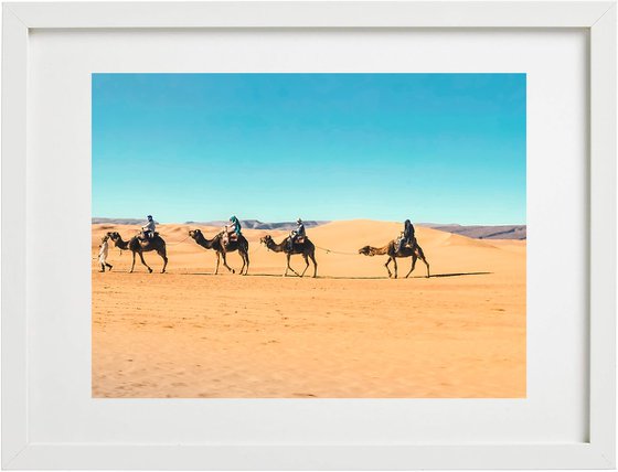 SAHARA CAMELS