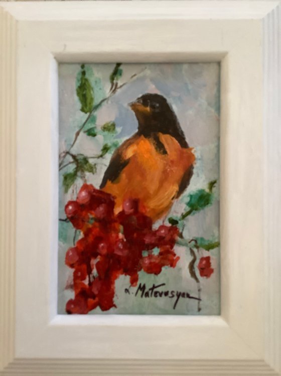 Oriole