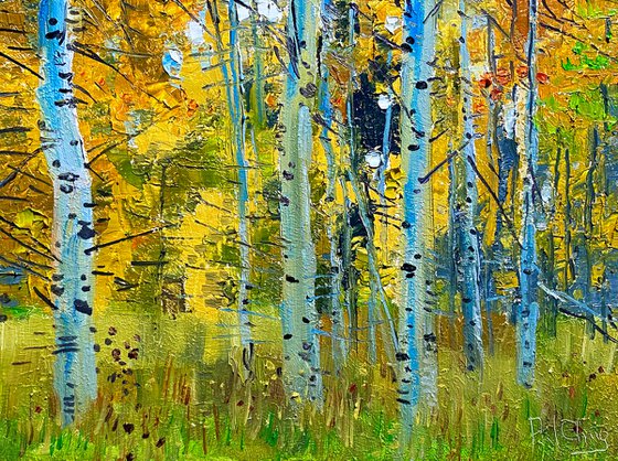 Fall Aspens