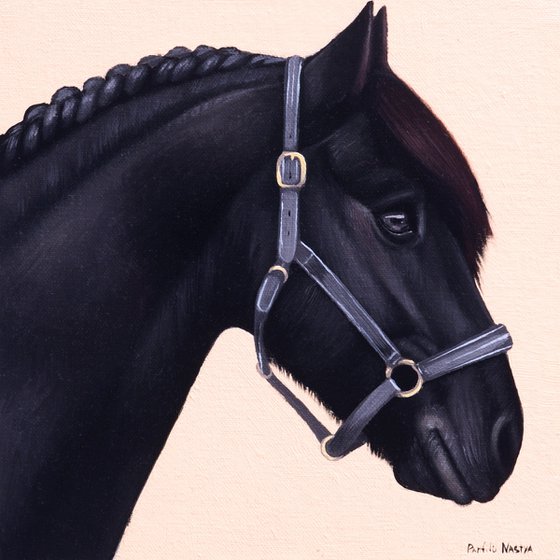 Horse Portrait 100