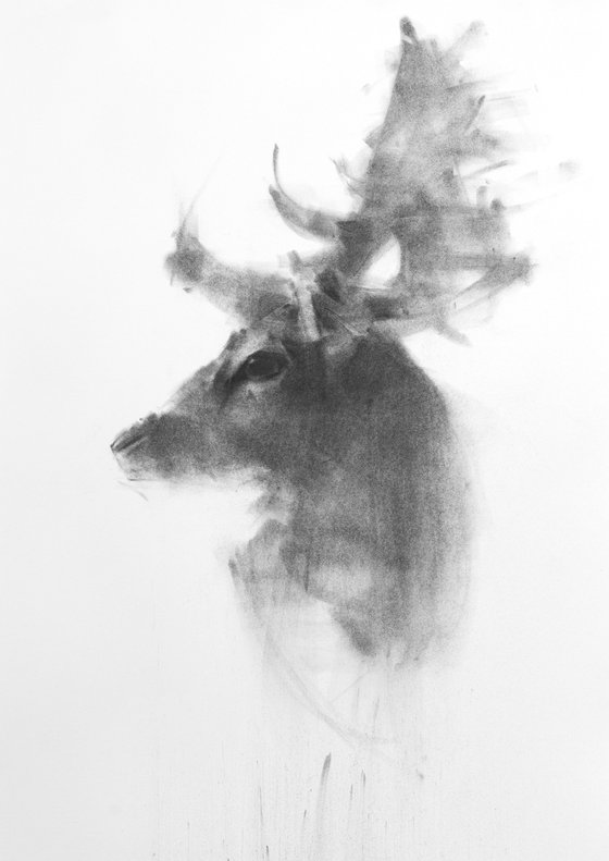 stag II