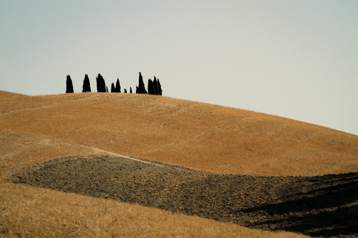 Impressionistic Landscape Photograph By Jan Walczewski, 24 X 16, Tuscan Summer No. 02, Original Artwork