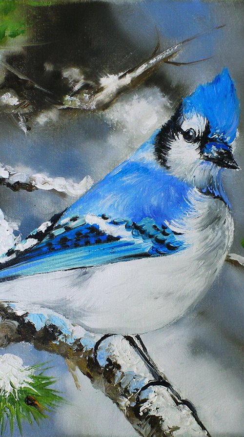 Blue Jay. Original painting oil on canvas by Natalia Shaykina