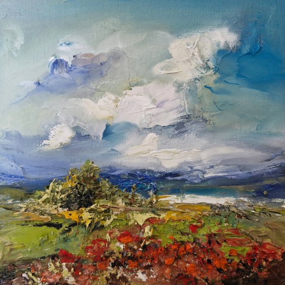 Field of poppies