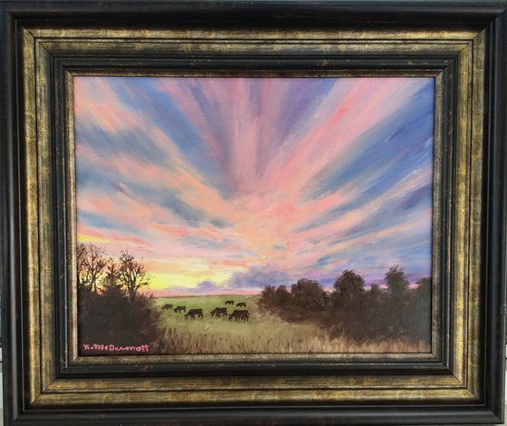 CATTLE PASTURE SKY SHOW