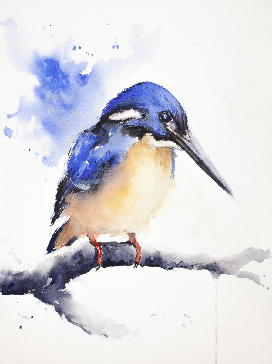 Impressionistic Animal Watercolour By Tomasz Mikutel, 11 X 15", Kingfisher Iii, Original Artwork