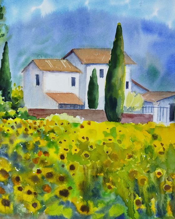 Golden Villa Sunflowers