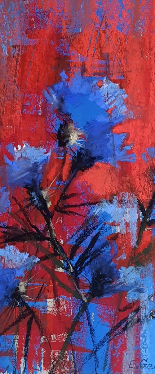 Carnation flowers in blue & red by Elena Genkin