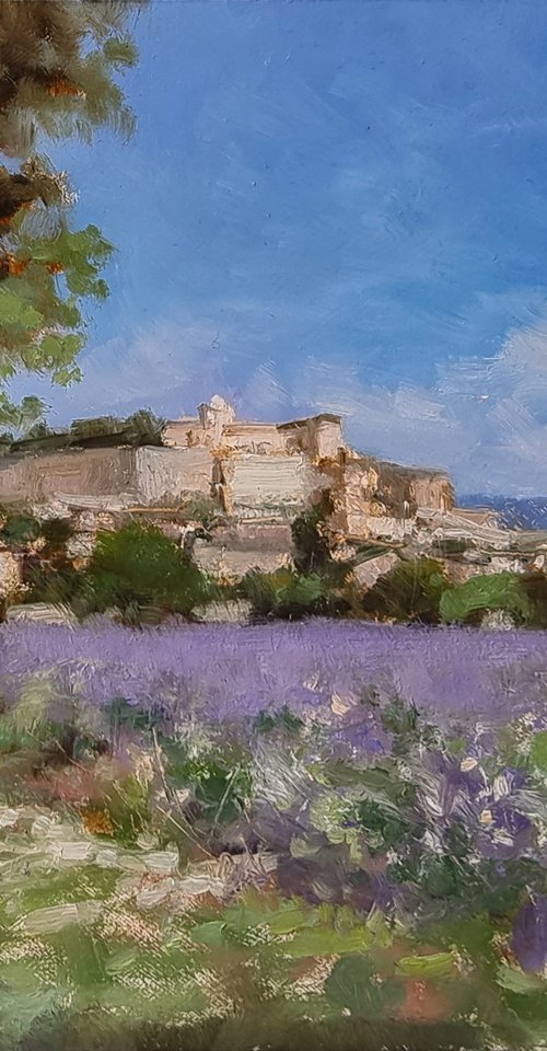 Lavender Field at Grignan by Pascal Giroud