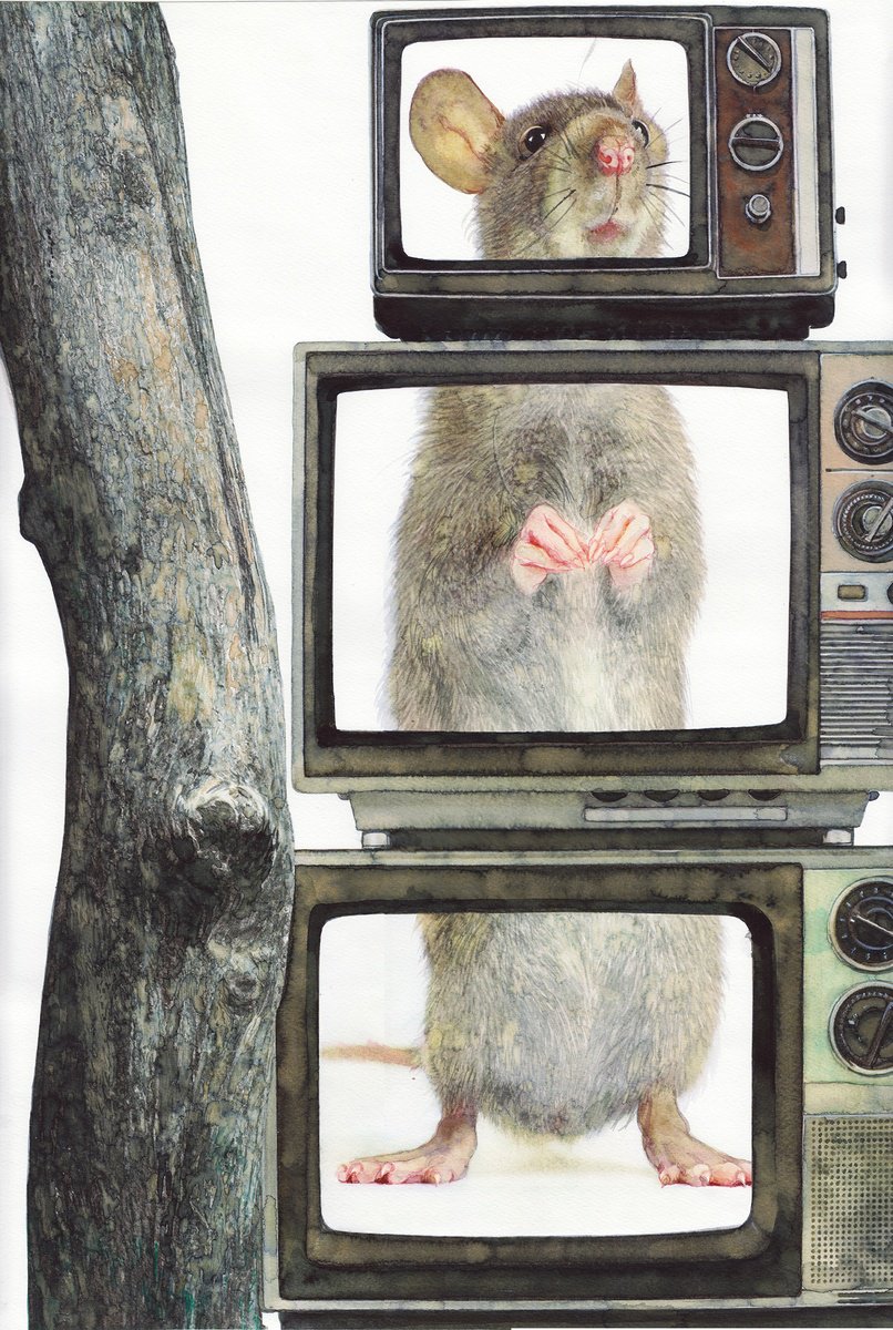 Photorealistic Animal Watercolour By Reme Jr., 15 X 22", Mouse Tv Star, Original Artwork