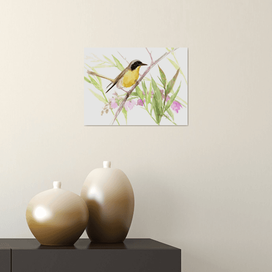 Common Yellowthroat