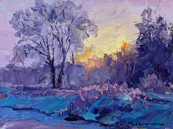 Winter Weaves Snowy Silence